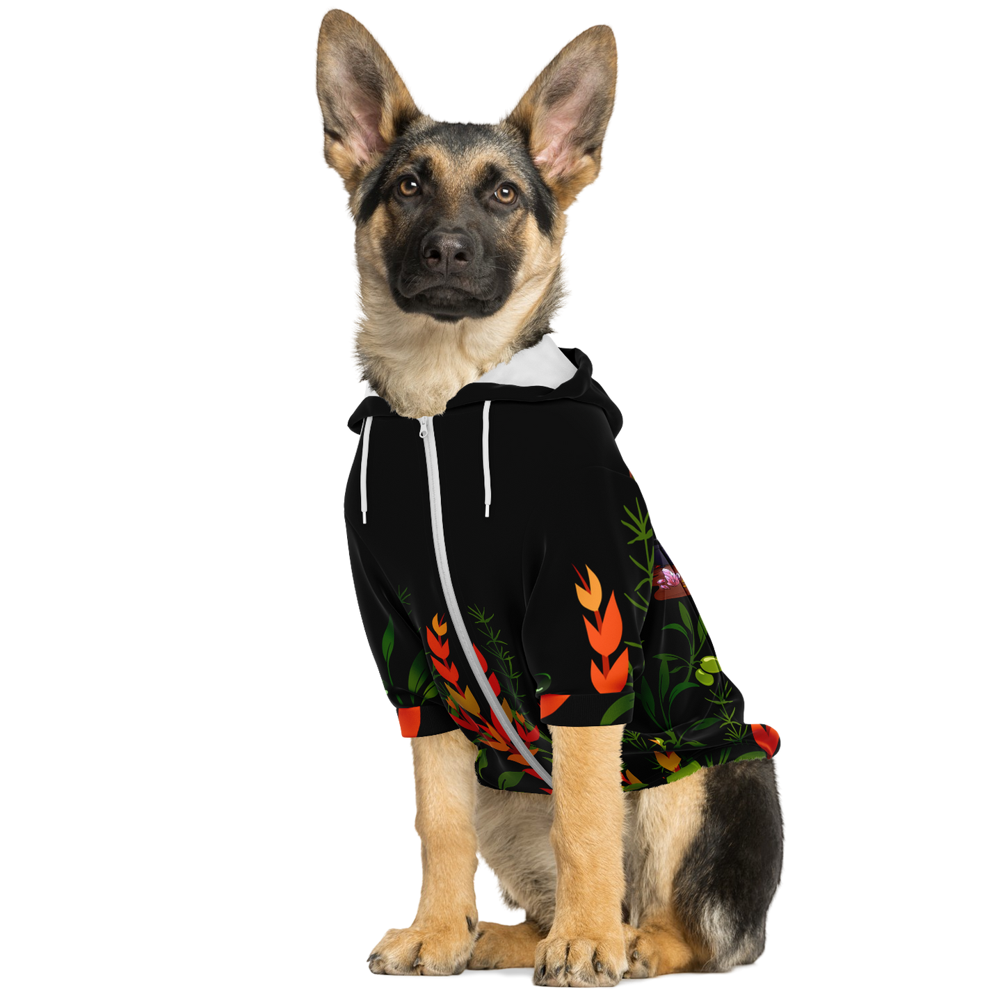 Lady Nostia 'Alchemy' Athletic Zip-up Dog Hoodie