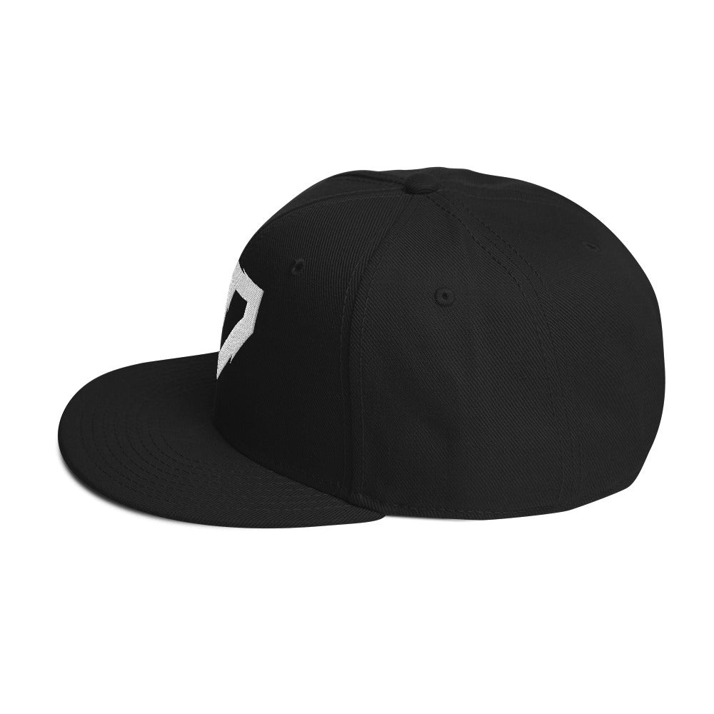 RickyShredz Snapback Hat