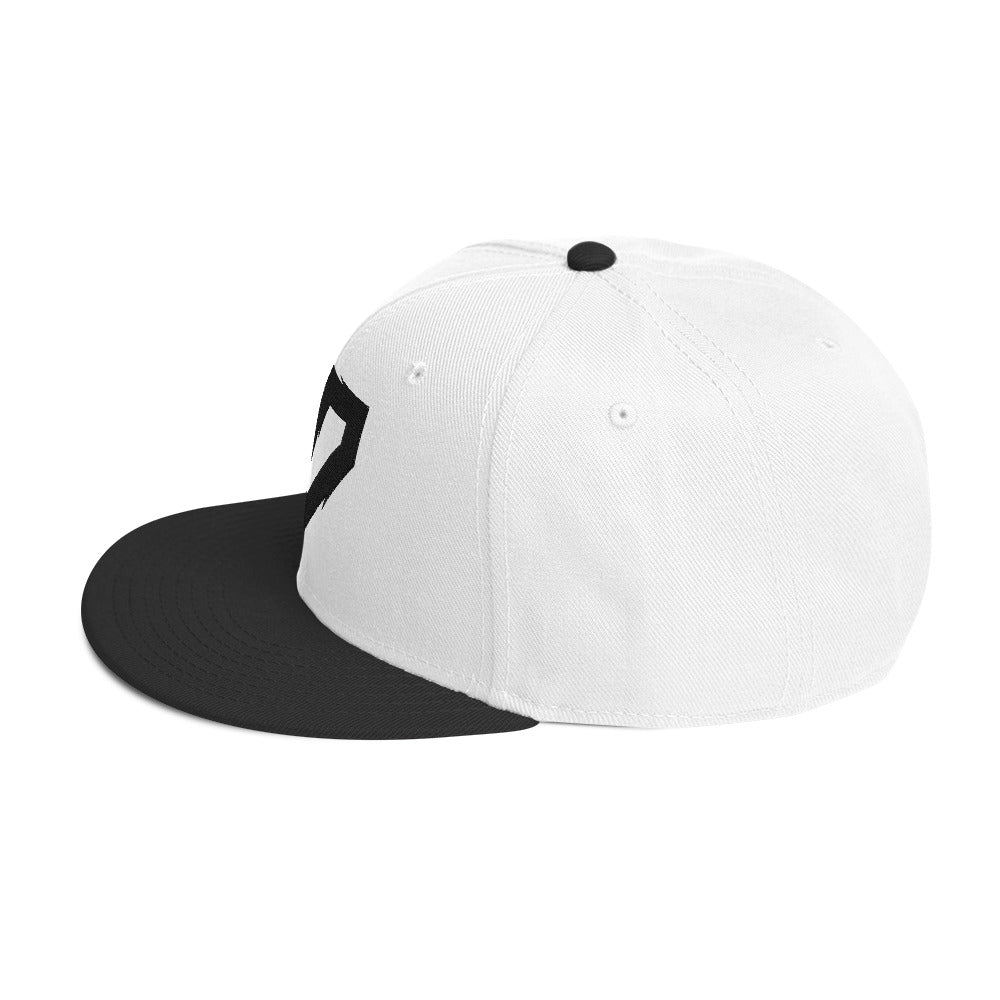 RickyShredz Snapback Hat