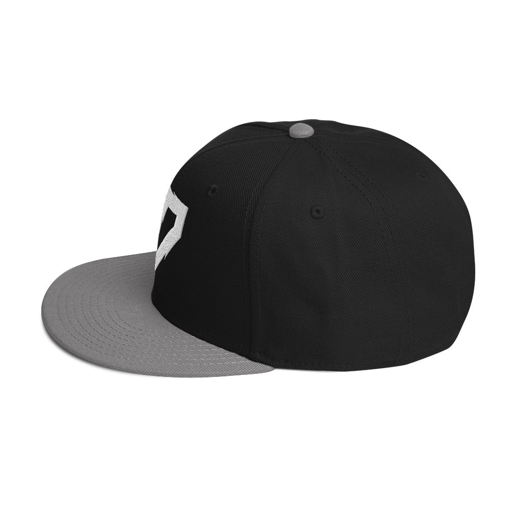 RickyShredz Snapback Hat