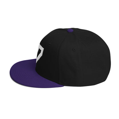 RickyShredz Snapback Hat