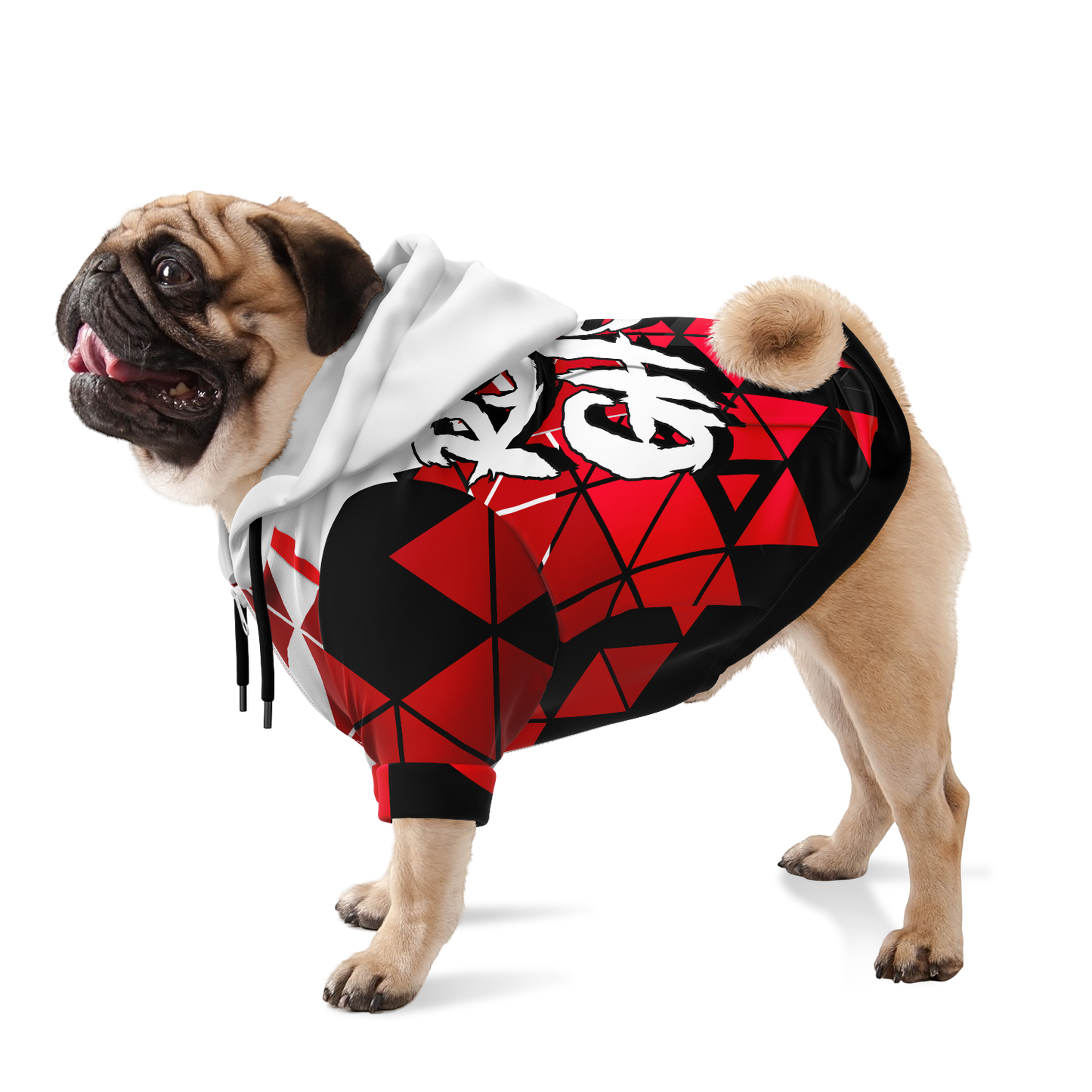 RS ITz Ghost Zip-up Dog Hoodie